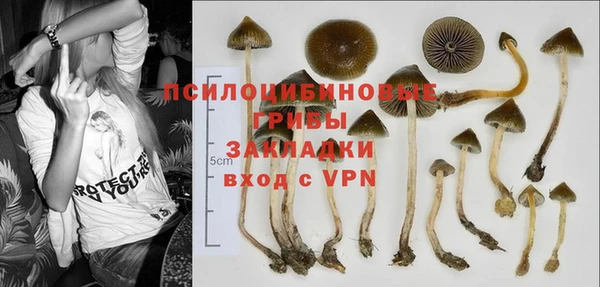 гашик Алзамай