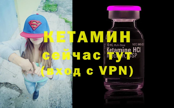 ALPHA PVP Бердск